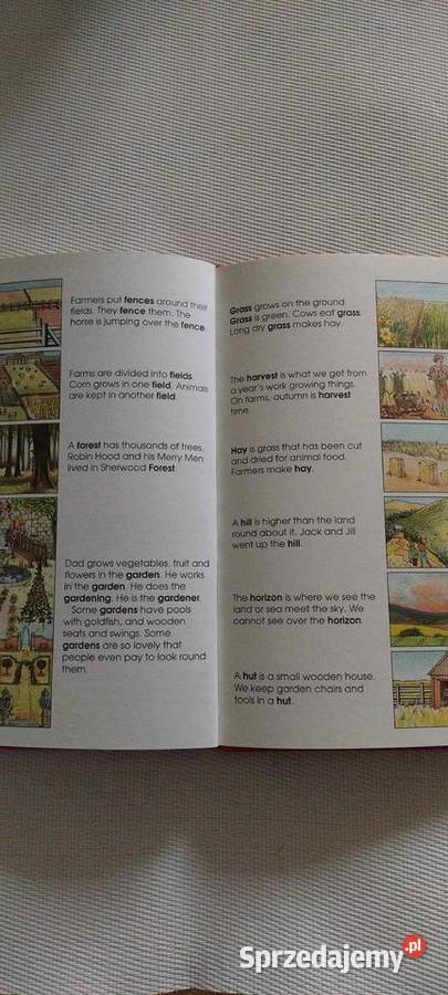 Książka do nauki języka angielskiego dzieci angielski Książki do nauki języka obcego lubelskie Lublin