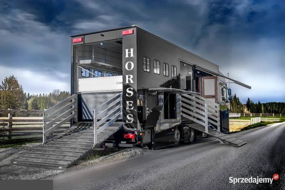 DAF XF 480 do przewozu 6 koni 2021r Luksus diesel Rokietnica