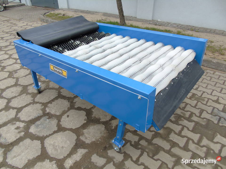 Oczyszczarka szczotkowa warzyw remprodex Rogóźno