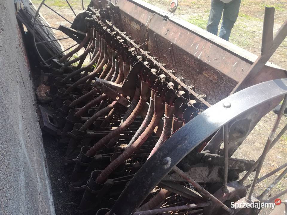Siewnik konny Pszczonów