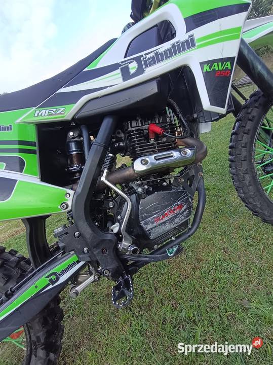 Diabolini MRZ 250 Kava Waleńczów sprzedam