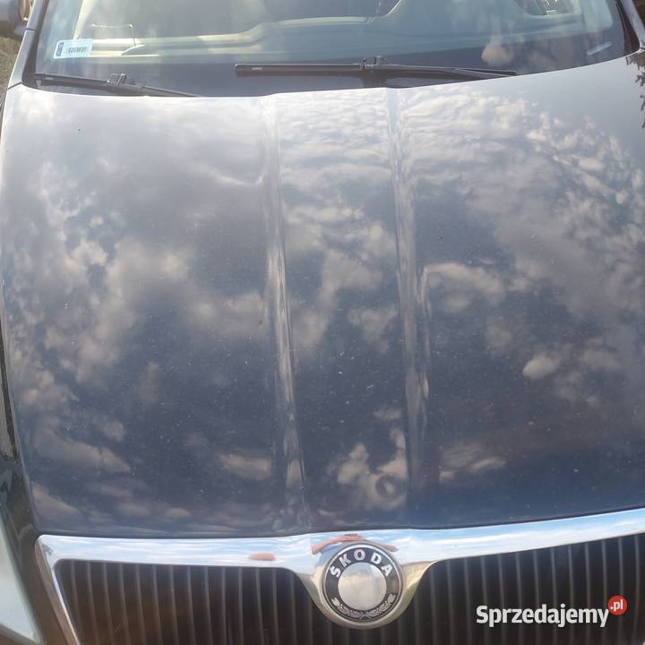 Skoda octavia nieuszkodzony Ozorków