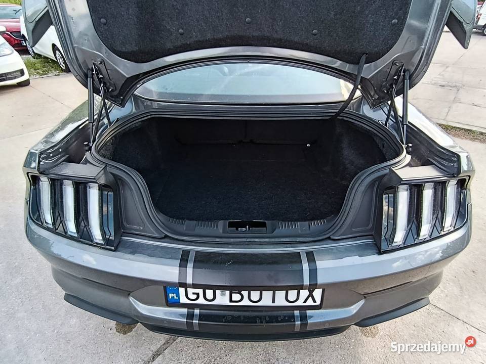 Fastback 50 V8 Automat Dokumentacja przebiegu Warszawa