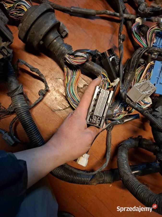 Wiązka instalacja elektryczna silnika skrzynka Przyborów
