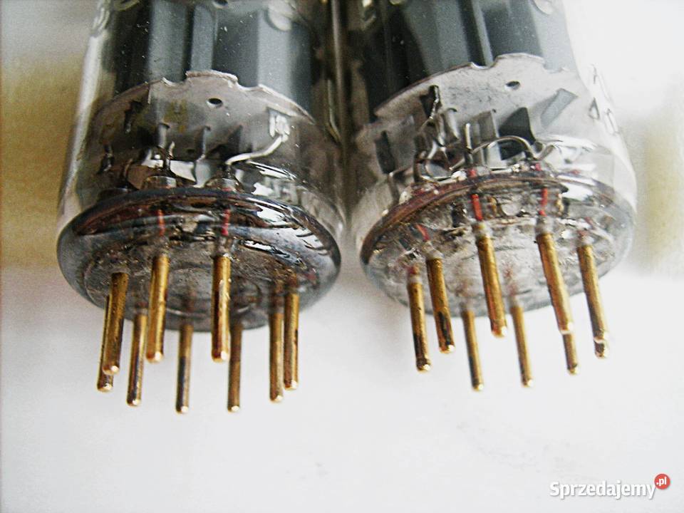E88CC PHILIPS SQ GOLD PIN dobrana PARA z lat Porąbka