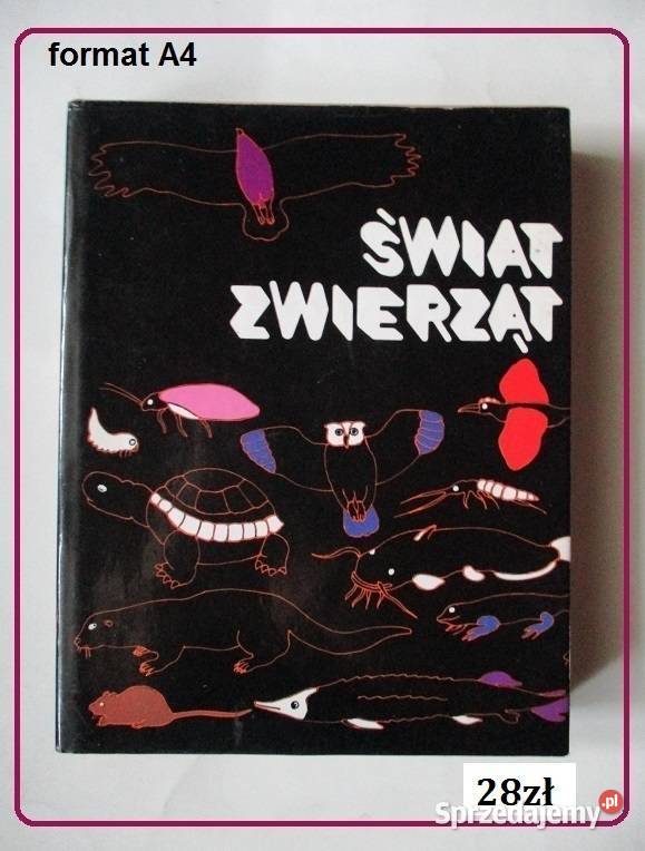 KONIE EHEdwards konie hodowla rasy zwierzęta Łódź