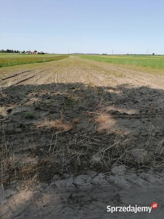 Sprzedam działkę rolną w Ciechankach lubelskie Ciechanki