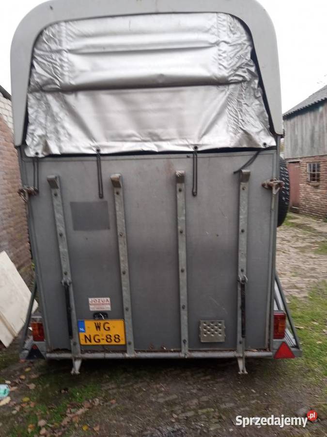 Przyczepa koni Pińczów sprzedam