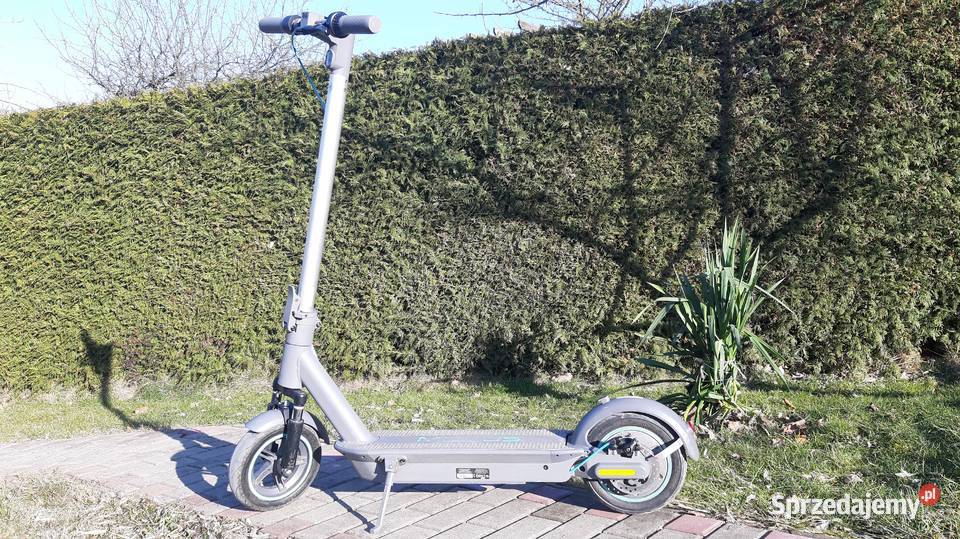 Hulajnoga Motus Scooty 10 plus 2022 podkarpackie