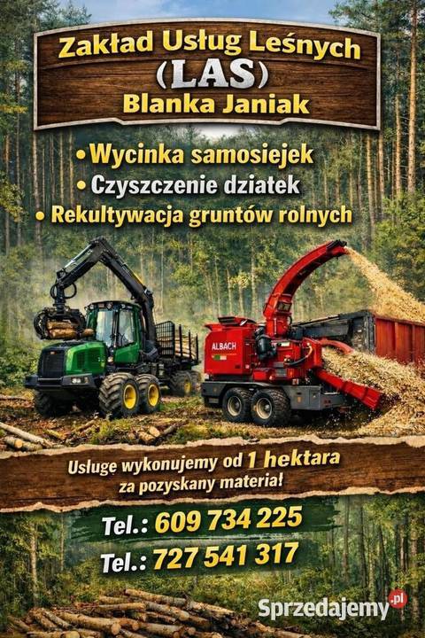 wycinka drzew i wyrywanie korzeni zrąbkowanie Karczowanie i usuwanie drzew Karczowanie i usuwanie drzew Opole