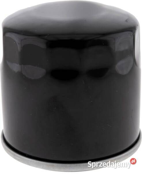 Filtr oleju 418138 Kamionna