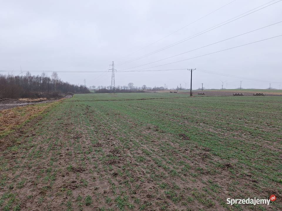 sprzedam pole orne gm Postomino