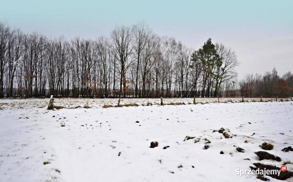Działka pod Kazimierzem16ar spokojna okolica asfalt Kazimierz Dolny