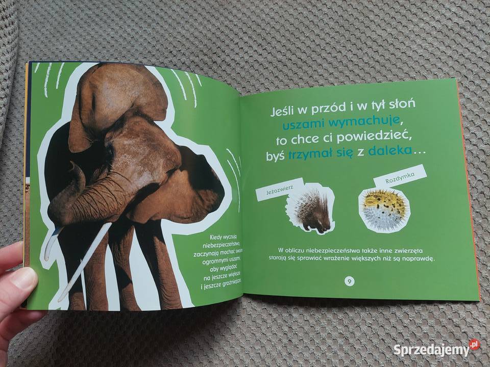 Co jeden słoń powiedział drugiemu Becky Baines Rok wydania 2010 małopolskie Kraków sprzedam