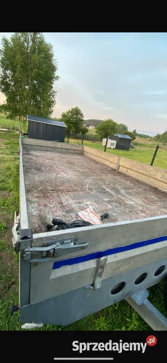 Przyczepa 3500 DMC WIOLA Wiola Do samochodów osobowych dolnośląskie Dobroszyce