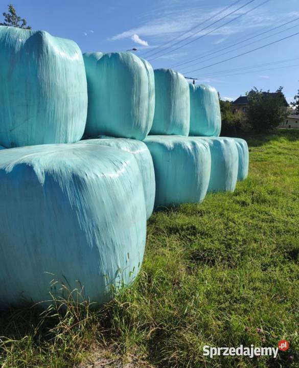 Sprzedam sianokiszonke śląskie Lyski