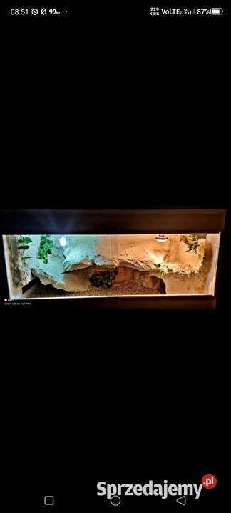 Okazja terrarium agamy gekona żółwia węża sprzedam