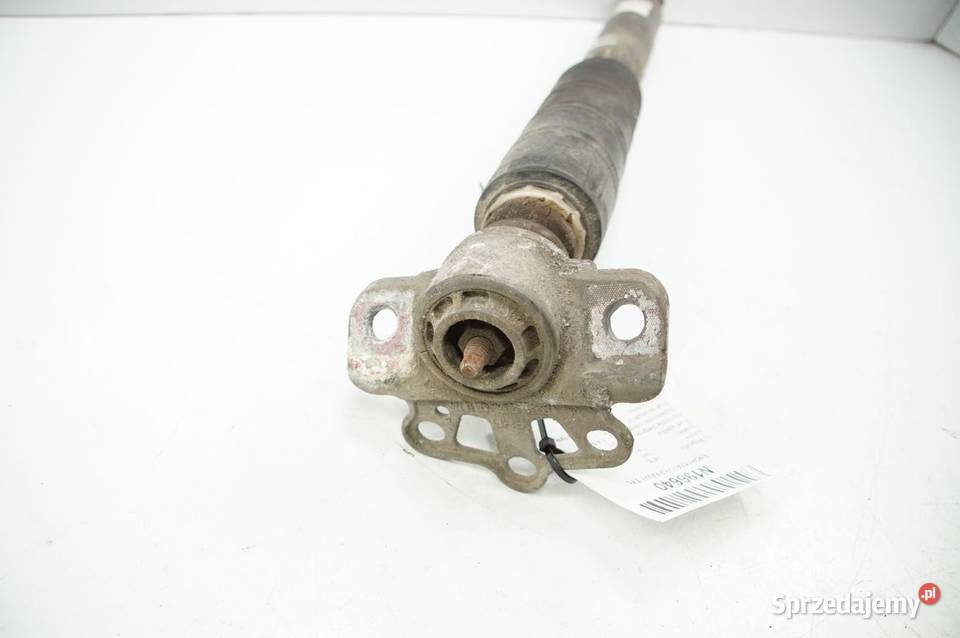 AMORTYZATOR PRAWY TYŁ FIAT TIPO II 00521025140 Lipno