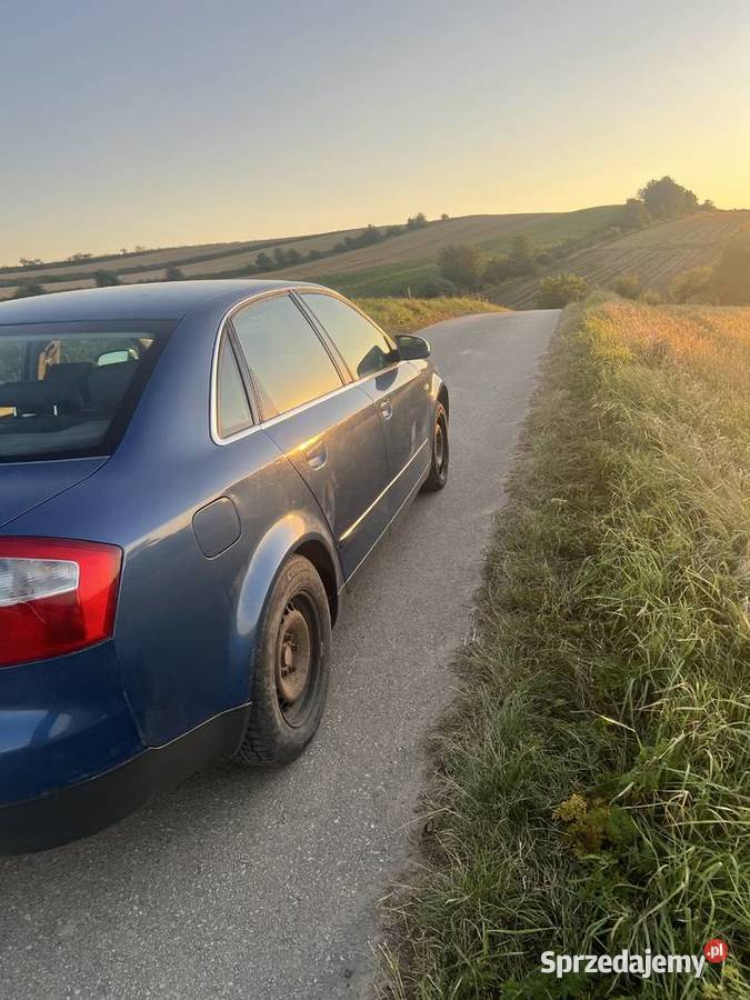 Audi a4 b6 sprowadzony Pałecznica