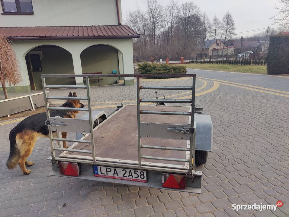 Przyczepka samochodowa lekka Łazów