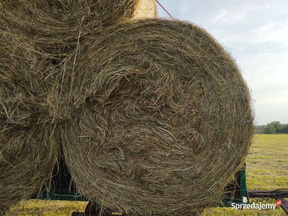 Siano słoma bele baloty Zamienice