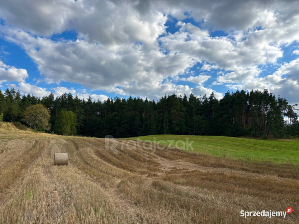 Grunt Gdynia Kazimierza Małkowskiego 2069m2 telefon Sprzedaż