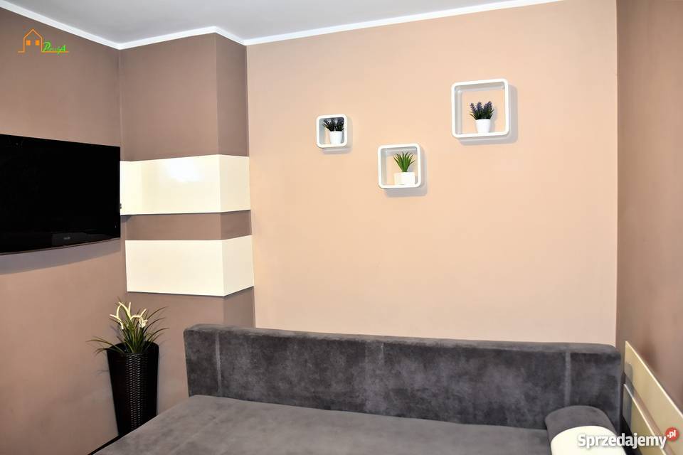 Dom budynek gospodarczy działka 2122 m2 ogródek Nieruchomości