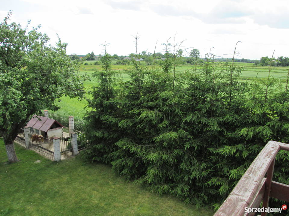 dom na wsi Lisiowólka