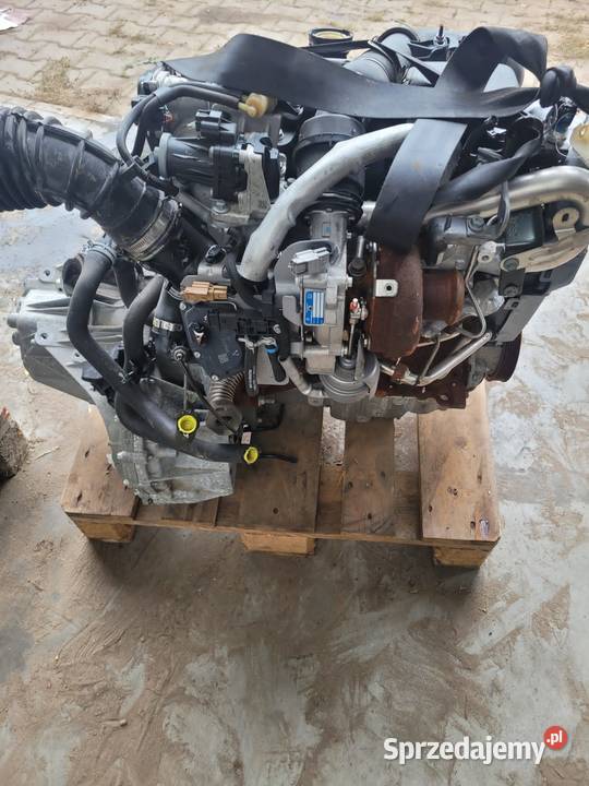 Silnik 15 Dci K9kf646 Renault Nissan Dacia 110 wielkopolskie sprzedam