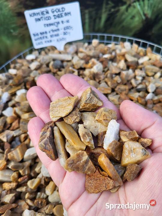 Granit Vanga 1622 mm Kamień ogrodowy dekoracyjny Mogielnica