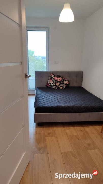 DO WYNAJĘCIA DUŻE MIESZKANIE KRAKÓW PODGÓRZE parter małopolskie Kraków