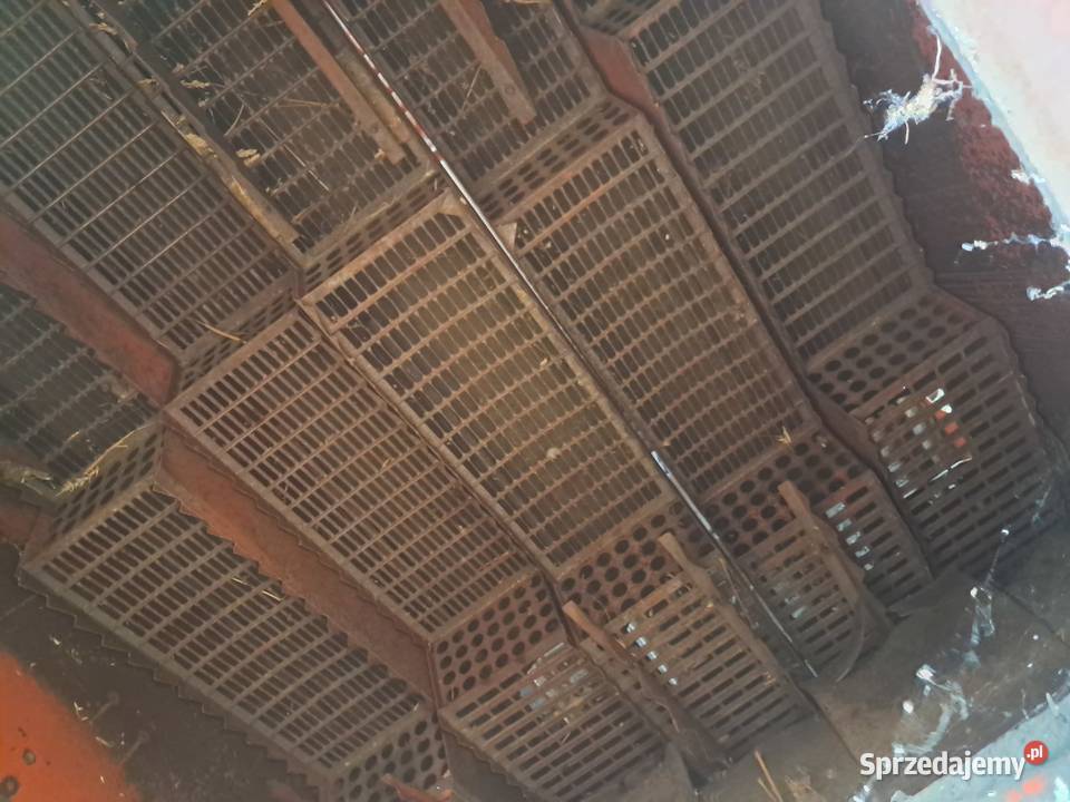 KOMBAJN BIZON Z056 Wiązownica sprzedam