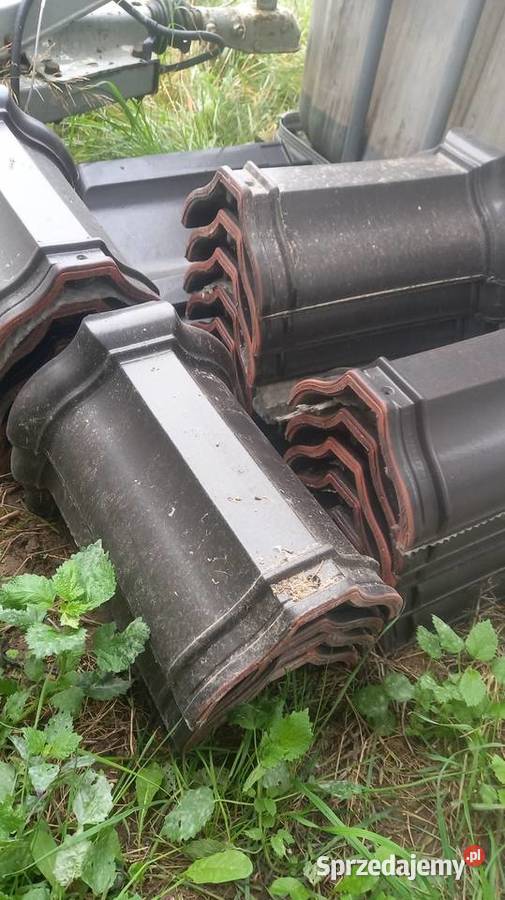 Gąsiory i dachowka ceramicznaReform 11 Śrem sprzedam