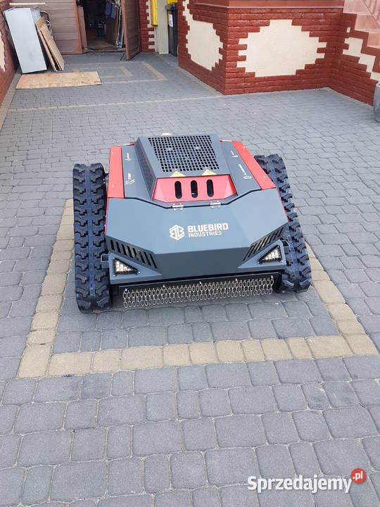 Estetyczne Koszenie Terenów Zielonych Nowoczesna Koszalin sprzedam