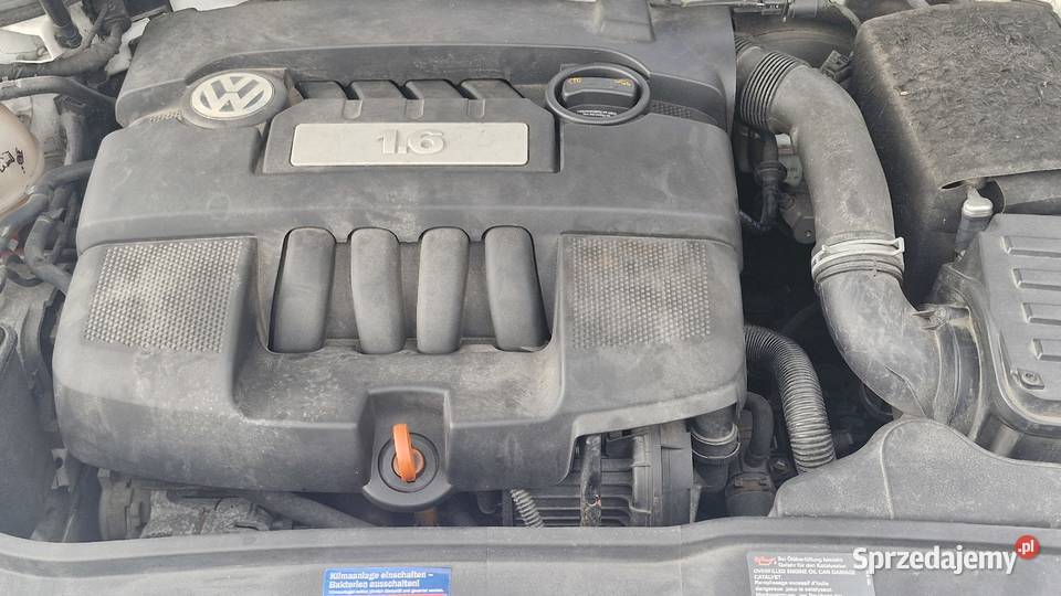 Volkswagen Golf V 16 VW B 102 5 DRZWI Częstochowa