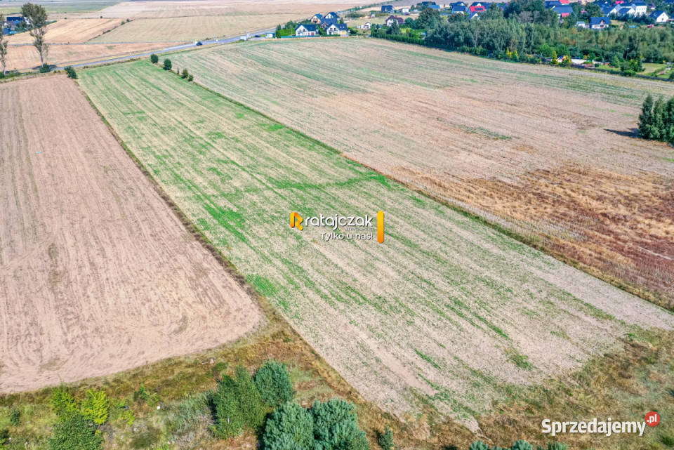 sprzedaży gruntu 9632m2 Łebcz Dr Augusta Sprzedaż