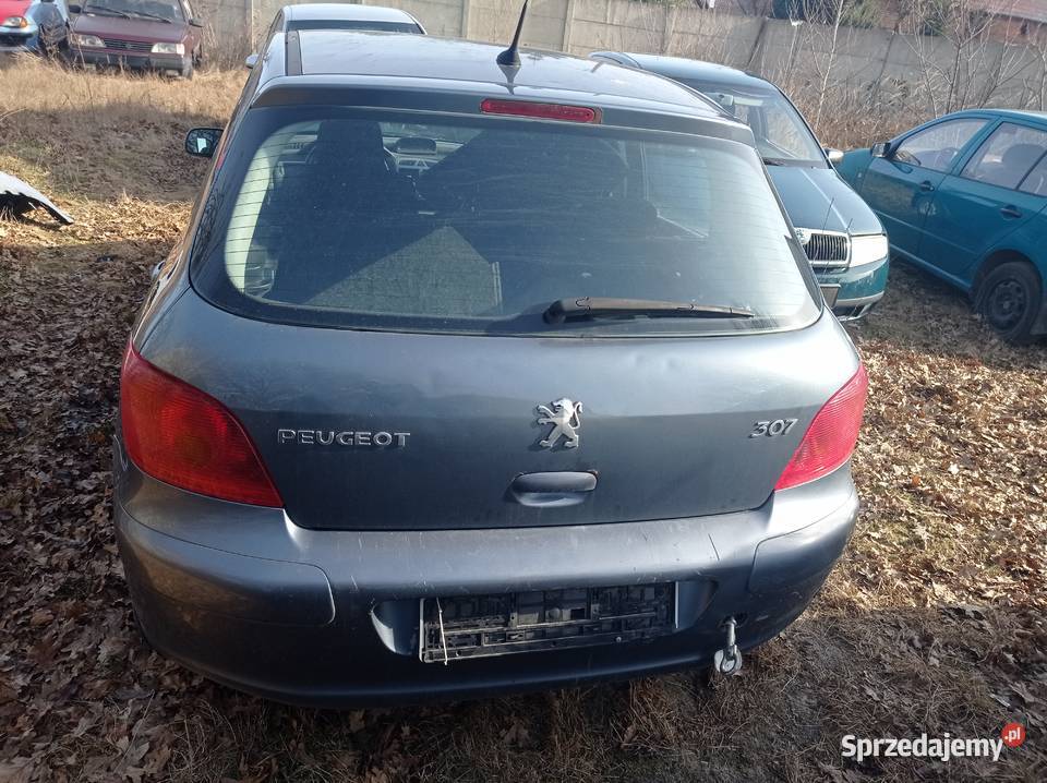 Peugeot 307 16 80 kW 2005 r dawca części wielkopolskie Szklarka Myślniewska