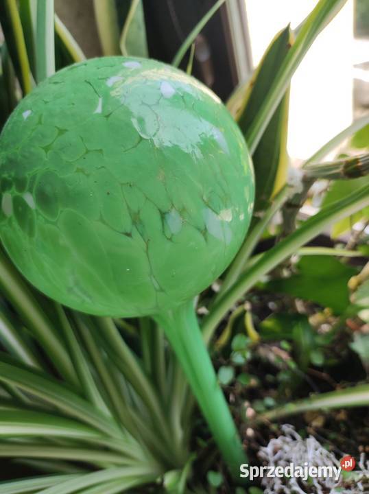 dozownik do kwiatów szklana pompowana ozdobna Kielce