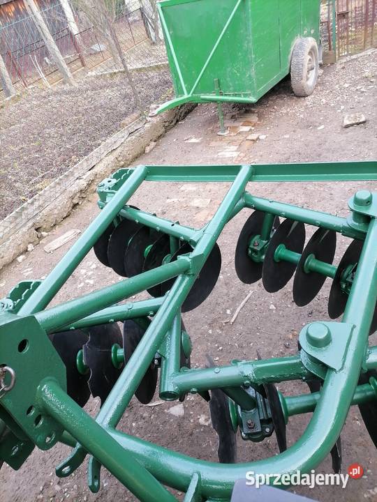 Talerzówka famarolu Słupsk nieuszkodzony Osobnica