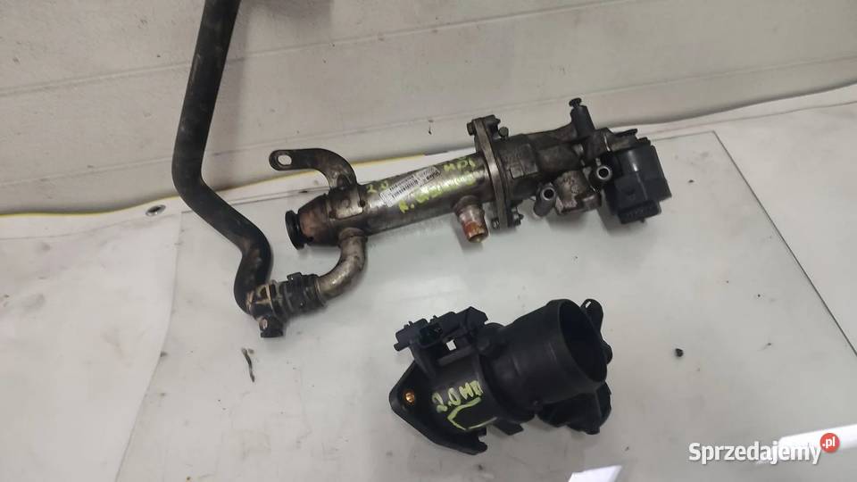 VOLVO V50 20 D ZAWÓR EGR CHŁODNICA SPALIN Włoszczowa