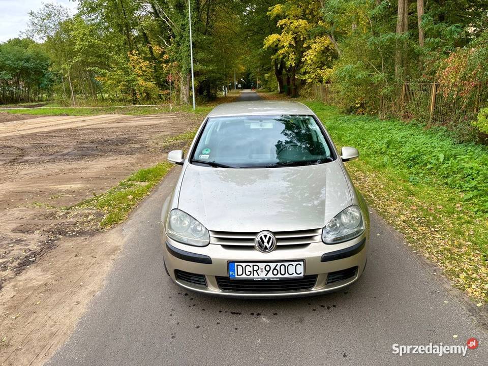 Volkswagen Golf V 14 MPI dużym serwisie Golf Iłowa