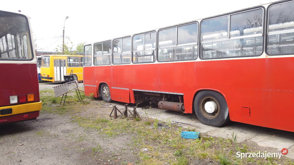 syndyk sprzeda autobus Łódź sprzedam