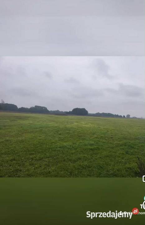 Dwie łąki na sprzedaż Lądek wielkopolskie sprzedam