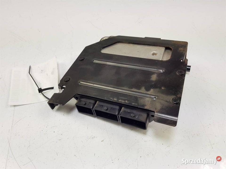 KOMPUTER SILNIKA ECU RENAULT LAGUNA III Lipno