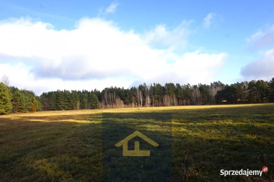 Działka z linią brzegową jeziora warmińsko-mazurskie Ruś Mała sprzedam