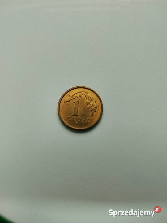 Moneta obiegowa 1 gr 1990 śląskie Zabrze