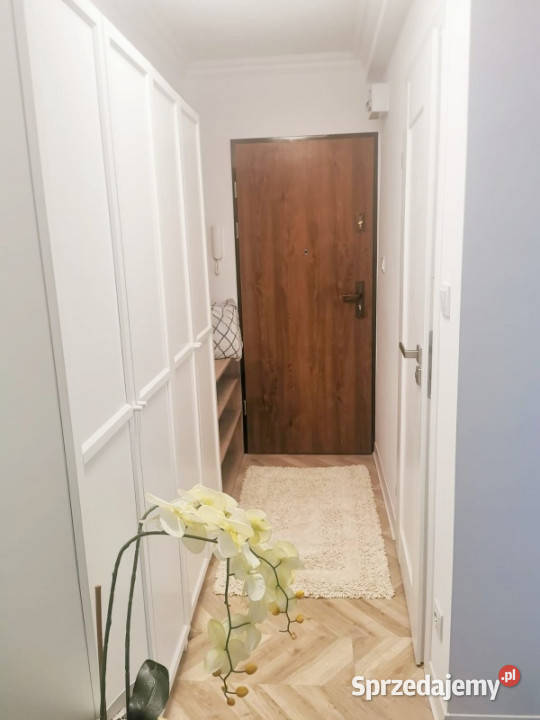 Bezpośrednio remoncie 2 pokoje k Okulickiego podkarpackie Rzeszów