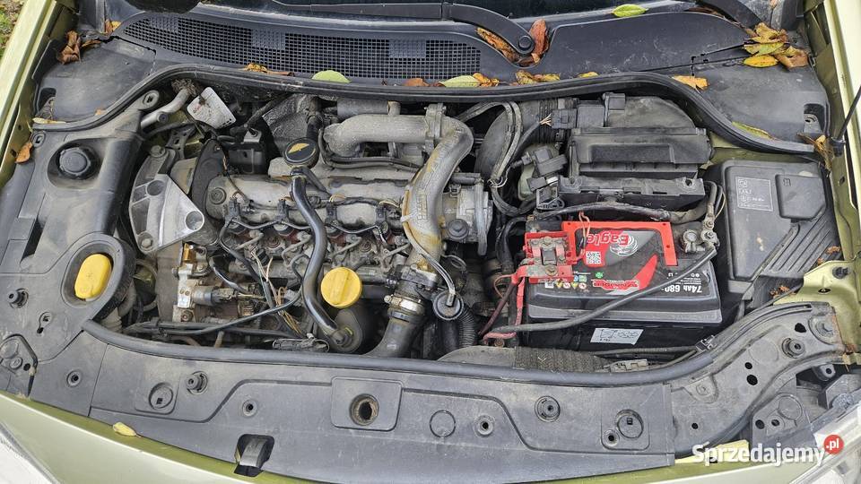 Renault Megane II 19 DCi sprowadzony Czudowice