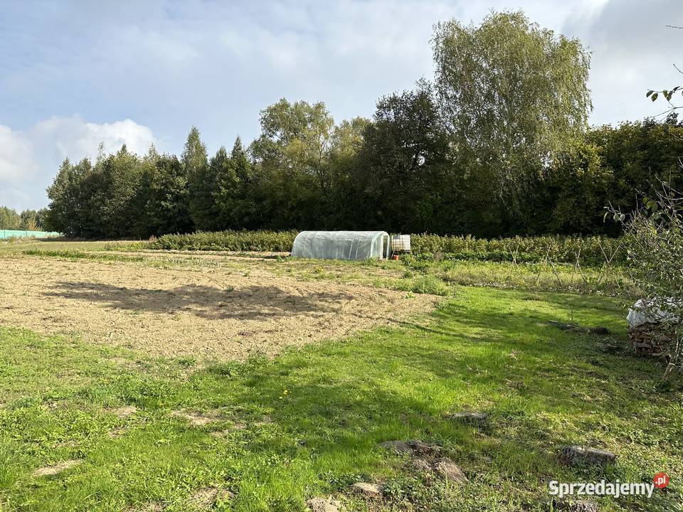 Działka rolnobudowlana Płouszowice Kolonia około