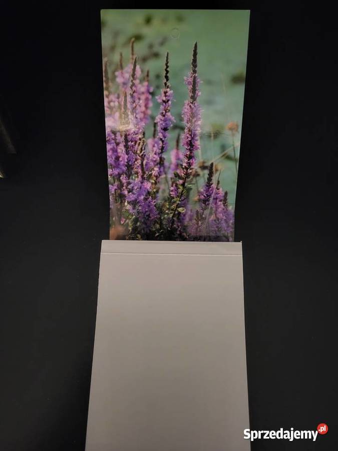 Kalendarz Katolicki 2026 listkowy zdzierak Warszawa